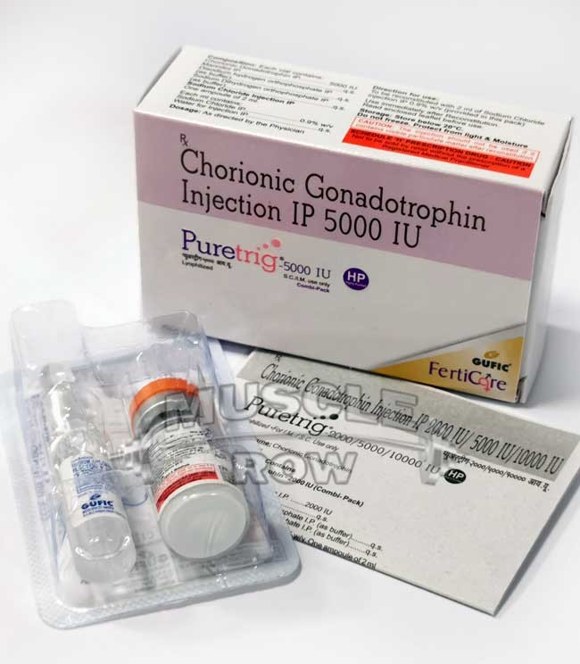 Pregnyl 5000 HCG MuscleRow
